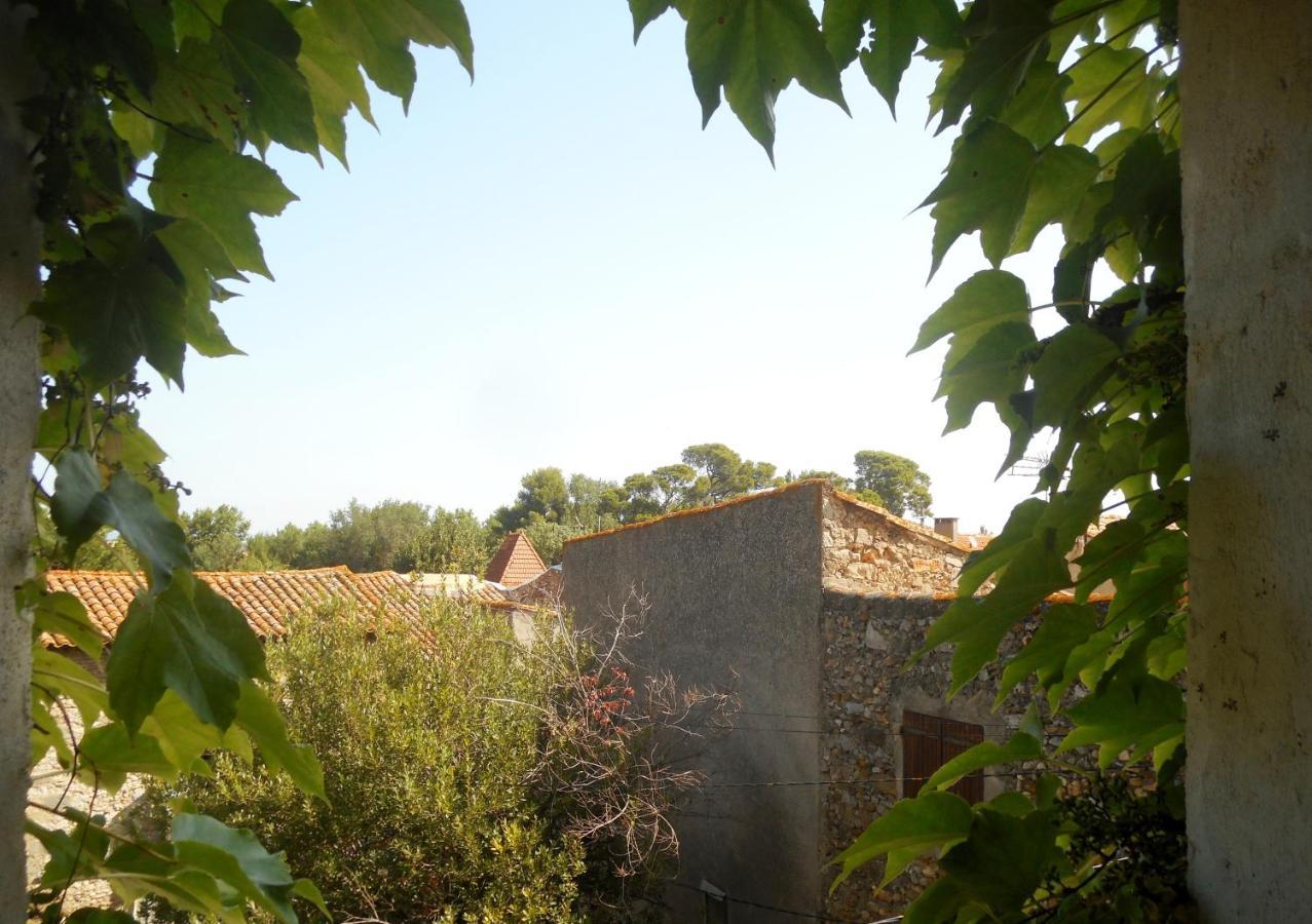 Logis De La Meschaussee, Dans Donjon Du Xie Siecle Canet  外观 照片