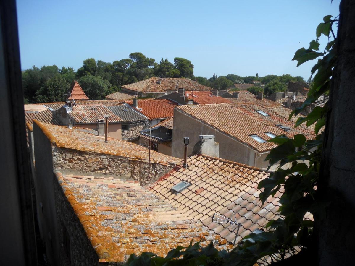 Logis De La Meschaussee, Dans Donjon Du Xie Siecle Canet  外观 照片